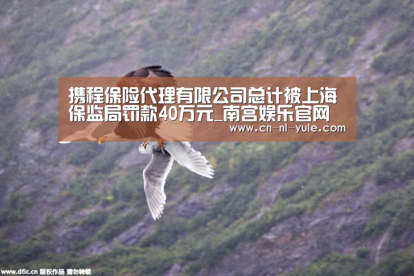 携程保险代理有限公司总计被上海保监局罚款40万元_南宫娱乐官网(图1) 南宫娱乐官网