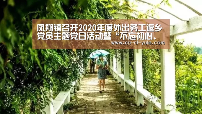 凤翔镇召开2020年度外出务工返乡党员主题党日活动暨“不忘初心、牢记使命”专题座谈会‘ng娱乐’(图1)