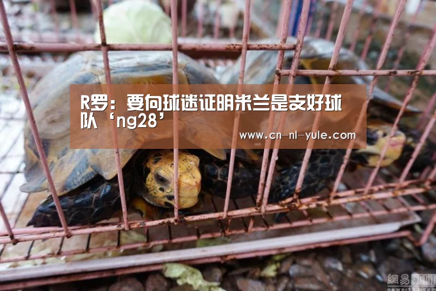 R罗:要向球迷证明米兰是支好球队‘ng28’(图2) R罗:要向球迷证明米兰是支好球队‘ng28’(图2)